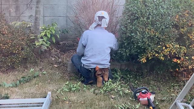 ピアノの音が、誰かの記憶になるときの記事動画