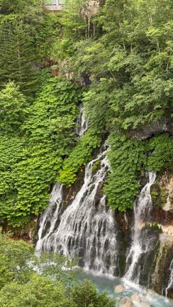 富良野２日目の記事動画