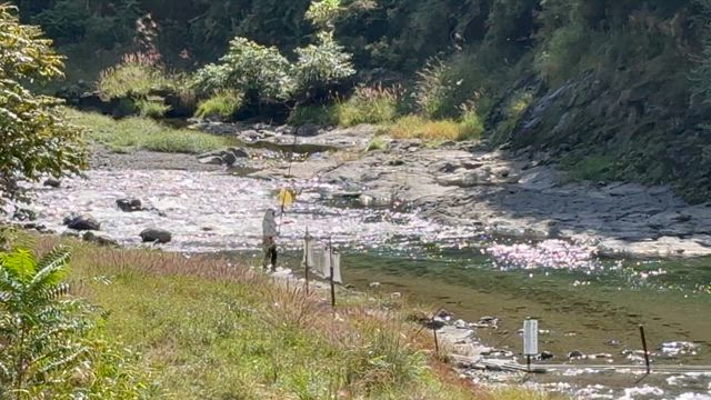 10月3日(金)の記事動画