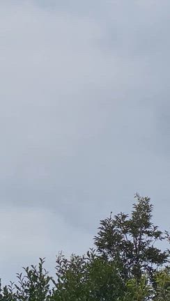 岐阜基地航空祭とあなたを殺す旅の記事動画