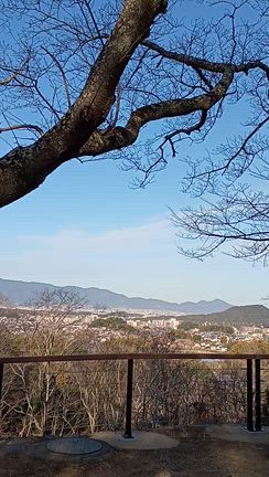 熊野につながった7年前を思い出す〜甘樫丘〜の記事動画