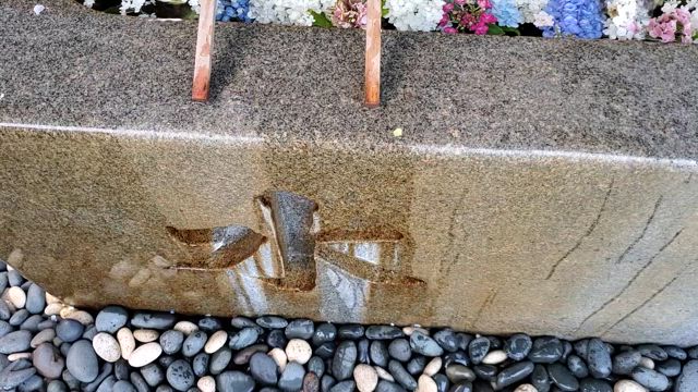 一年の折り返しの記事動画