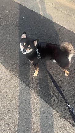 継続の記事動画