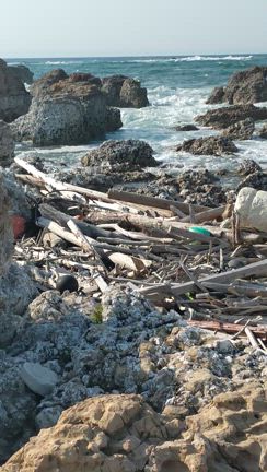 能登半島の記事動画