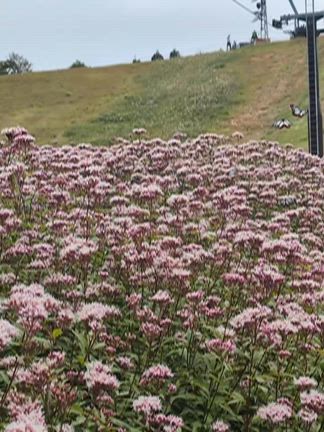 佐藤健：家族サービス？の記事動画