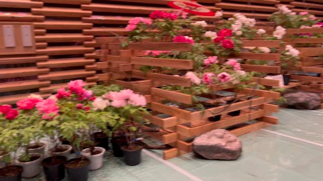 室内庭園綺麗でした( ´艸`)の記事動画