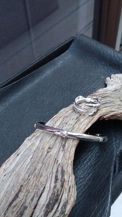 シルバーコレクション☆の記事動画