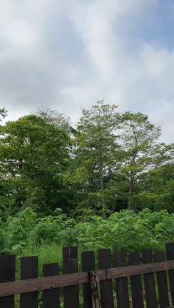 お出掛け③の記事動画