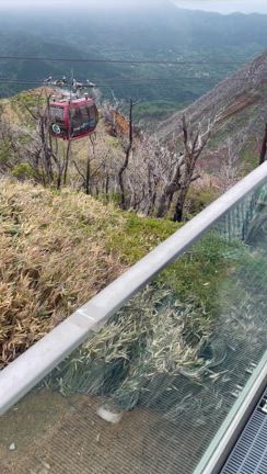 箱根温泉旅の記事動画