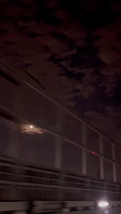 感謝を伝えにの記事動画