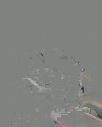 正式譲渡が決まりました③の記事動画