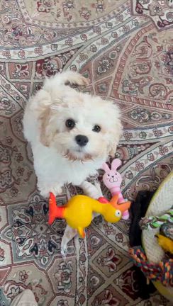 やっちゃんさんのプロフィールページ