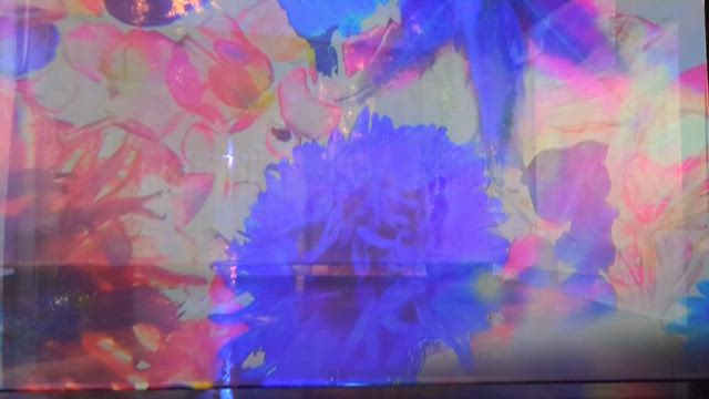 【弘前市】2024年旅記録⑤スマイルホテル〜川越黄金焼店、れんが倉庫美術館への記事動画