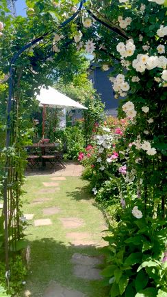 ●昨年の！実家のお庭④「まーくんの小さなローズガーデン　2024年」テラス・花壇編の記事動画