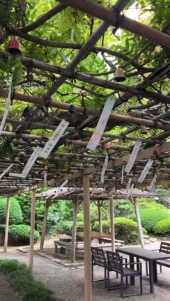 御朱印帳の記事動画