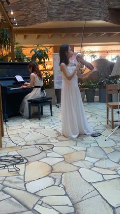 ヴァイオリンとピアノのコンサートの記事動画