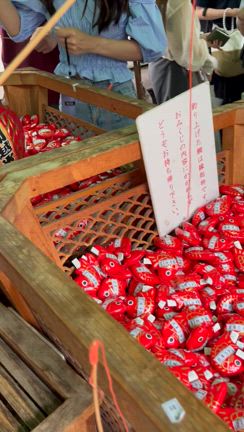 ポケットの中にはビスケットが一つ。の記事動画