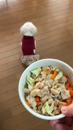 完食‼️の記事動画