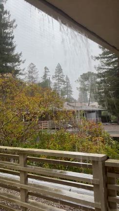 大雨の記事動画