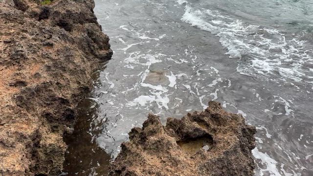 私に無いものを伝えてもらっての記事動画