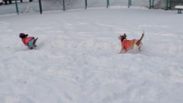用意万端！の記事動画