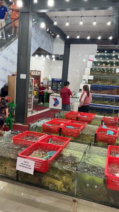 ダナンでハシゴしたお店の記事動画