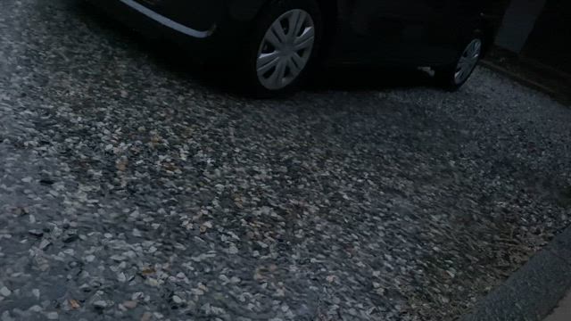 雨樋の音と溜まり☆彡2025/08/10の記事動画