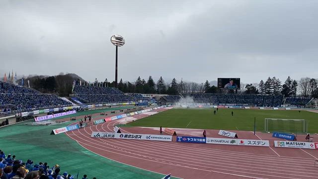 スポーツ観戦スタイルの記事動画