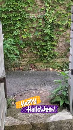 Happy☆Halloweenの記事動画