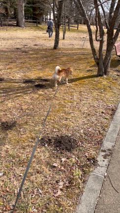 日帰りで、長野から、群馬の記事動画