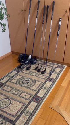 日々の事の記事動画