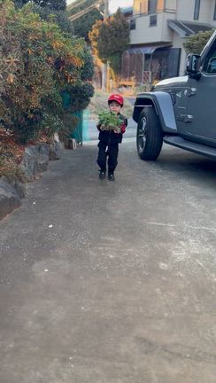 簡単にイライラしないの記事動画