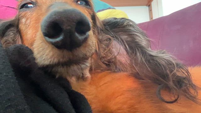 どうなってるのかなの記事動画