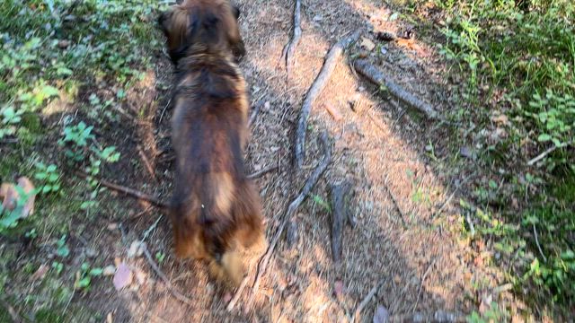 手術前日の記事動画