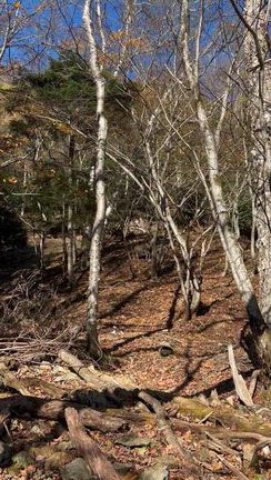 奥日光（龍頭の滝～日光戦場ヶ原～湯ノ湖）①の記事動画