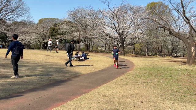 ロング、ロング、またロング…の記事動画