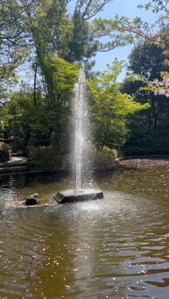 三合参り行ってきた。の記事動画