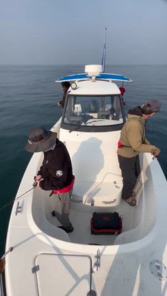 3月30日　タイラバの記事動画