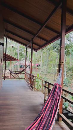 朝イチからの浄化の修行【ボミティーボ】の記事動画