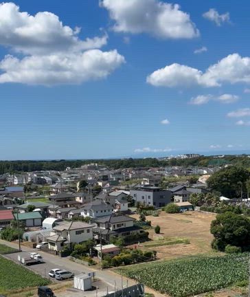 津波警報発令の記事動画