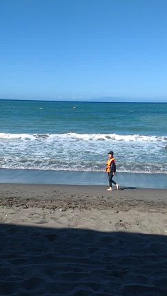 夏の過ごし方。の記事動画