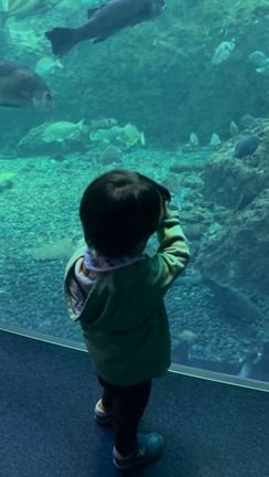 ☆【2y11m13d】【0y8m16d】 初！息子娘と3人おでかけ★の記事動画