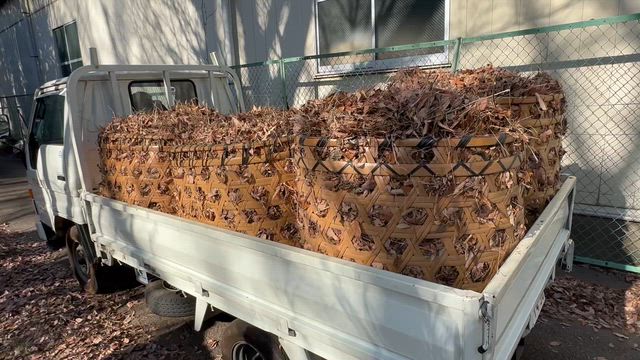 楽しい×おもしろい×あったまる＝3拍子そろった健康法！落ち葉はきに行ってきました！埼玉県三芳町の記事動画