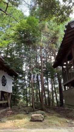 宗像三女神はここに居たの記事動画