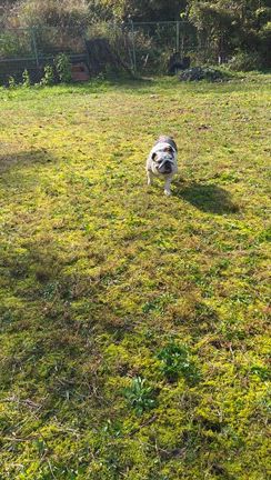 オフ会最終☆の記事動画