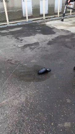 事務員ブログ57の記事動画