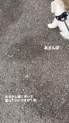 ”はぁ(*・ε・*)”の記事動画