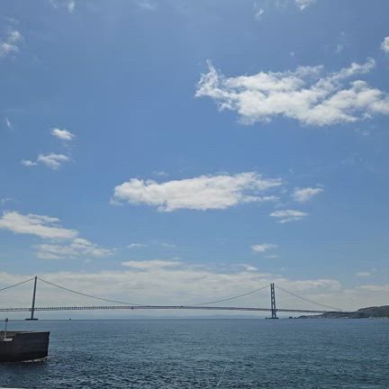 ブログでのヒーリングの無料お試し期間海＆龍ヒーリング、心地よい環境を整えるの記事動画