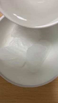 ぽん吉の夏季集中特訓1日目のおやつで思わず実験タイムの記事動画