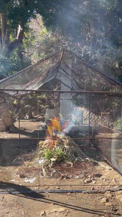 ◆どんど焼きの記事動画